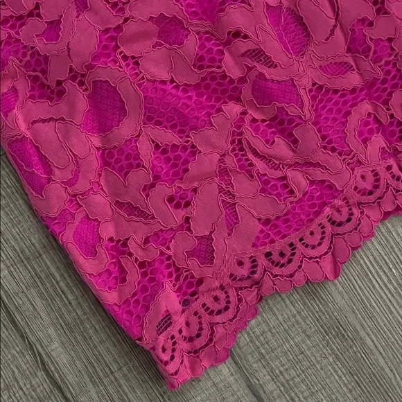 Lilly Pulitzer Bright Pink Lace Mini Dress - Picture 4 of 14